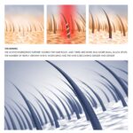 Jayswing Rice Shampoo Rice Promote Dense Hair Nourishing Repair Shampoo - Image 4