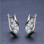 Classic Wings Shape Women's Drop-shaped Zircon