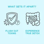 Gut Health Supplements - Improve Digestive Comfort 15 Day Cleanse Detox Gut & Colon Support Capsules - Image 4