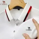 Sbcdcccdebfabde webp